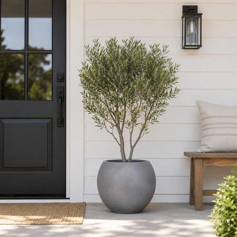 13.5" H x 17" Dia Round Gray Fiberstone Planter Pot with Drainage Hole, Lightweight UV-Resistant Decorative Planter for Olive Trees, Bird of Paradise & Monstera, Indoor Outdoor Patio, Porch & Garden
