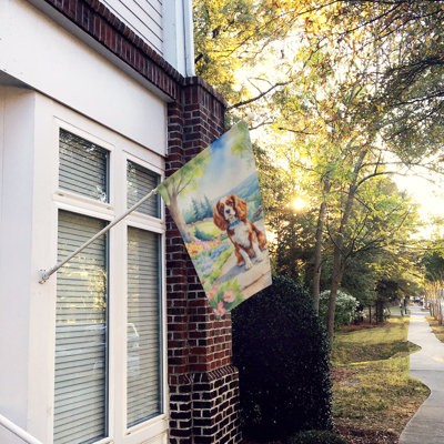 Drapeau de maison en polyester à double face H 40 po x l 28 po