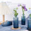 Ensemble de 12 vases en verre Bud-207987494