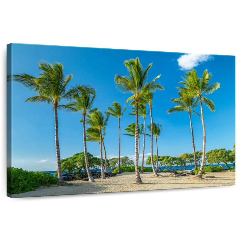 Gillard Kukio Beach Palms, H 16 po x l 24 po