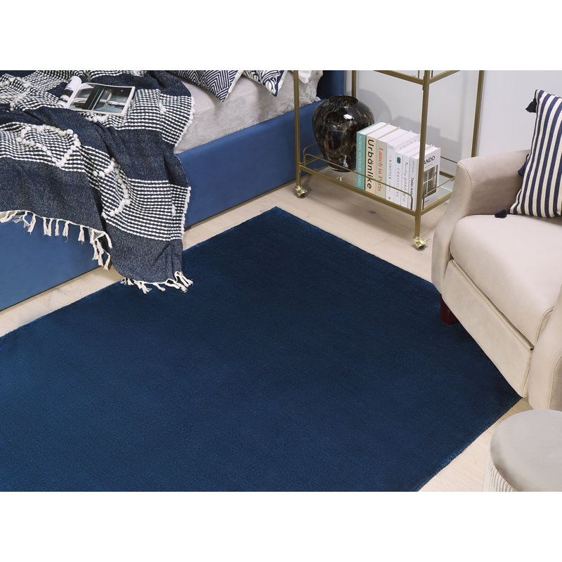 Godinne Viscose Hand Woven Area Rug, Rectangle 160 x 230cm
