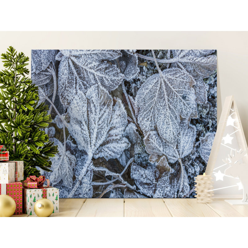Wrapped Canvas Print Set, 48x36