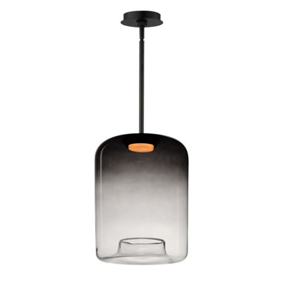 Daysy Single Light Glass Steel Dimmable LED Pendant