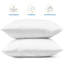 Insert de coussin réversible-50938193-117668998