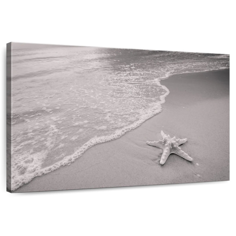 Gillard Starfish Monochrome, 16" H x 24" W