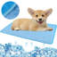 Coussin de refroidissement pour chien-1246760440-1246760421