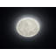 Cornwell 1-Light LED Flush Mount