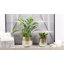 Metal Pot Planter