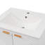 Bathroom Vanity with Top