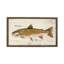 Trout Print-1906805425