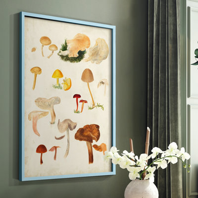 Reproduction encadrée de champignon Mushroom Species