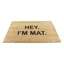 Adairsville Non-Slip Indoor Doormat