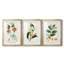 Turpin Tropical Botanicals IV - reproduction sur mesure encadrée de qualité supérieure - 3 pièces-1893982536-1893982646