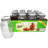 Glass Jar - Set of 12
