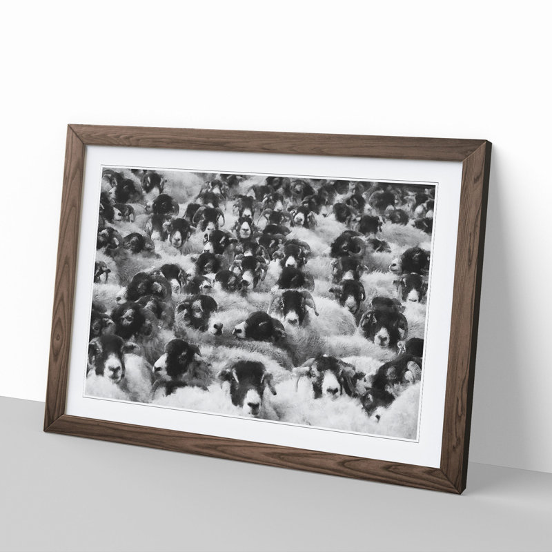 Flock of Sheep Vol.2 - Framed Print, Walnut Framed, 27cm H x 36cm W x 2cm D