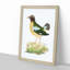 Green Crow by George Shaw - Framed Print-55620727-55620728