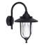 Springvale Black/Transparent Outdoor Wall Lantern
