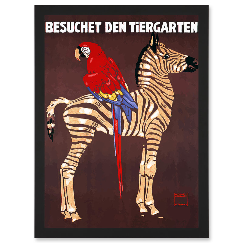 Zoo Zebra Parrot Germany - Single Picture Frame Print