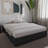 Jodeen Platform Bed-466398947-449223404