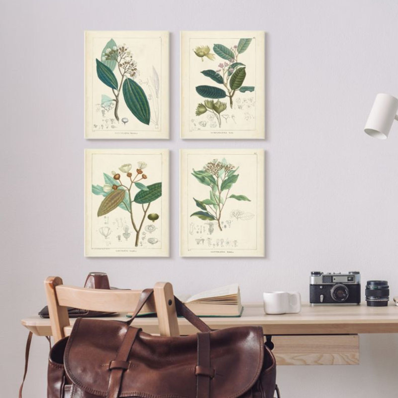 «Vintage Floral Anatomy Illustration, Étude Latine», ensemble de 4 reproductions d'impressions, Plaque murale