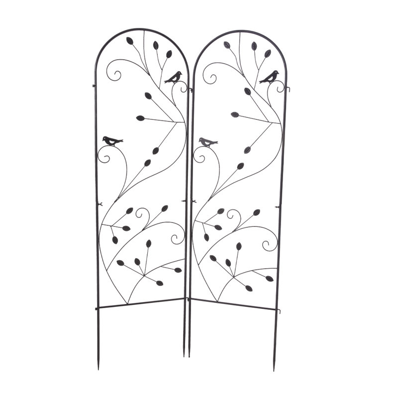 176.5cm H x 50cm W Iron Arched