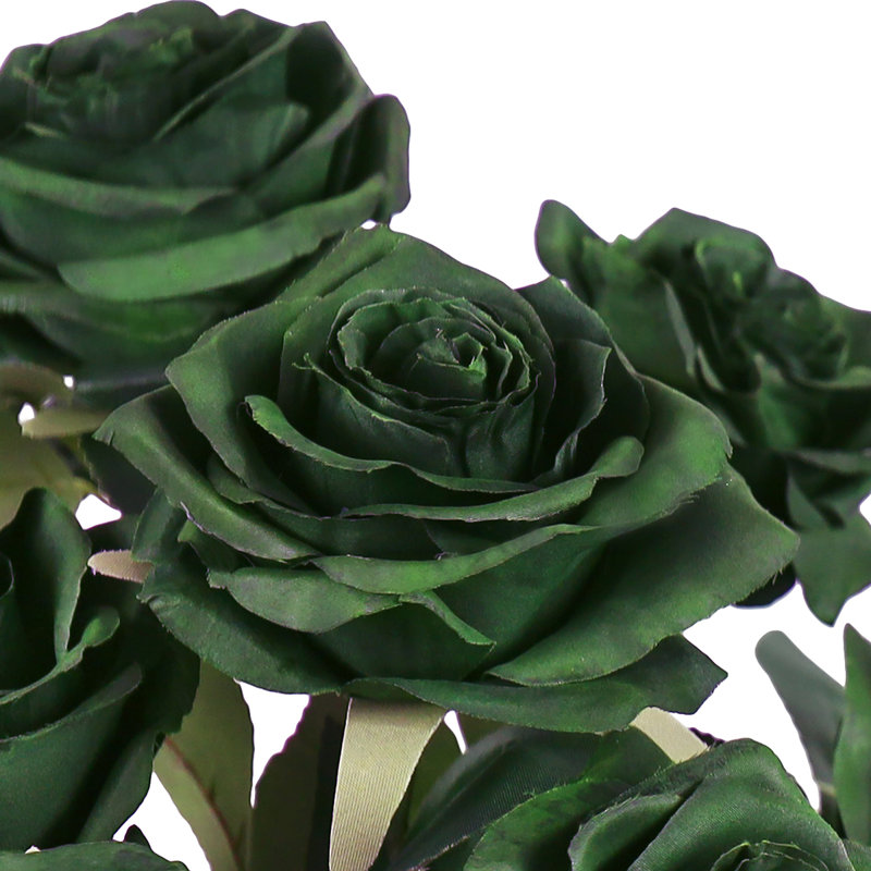 Grand rosier Jaafer Deluxe, Vert forêt