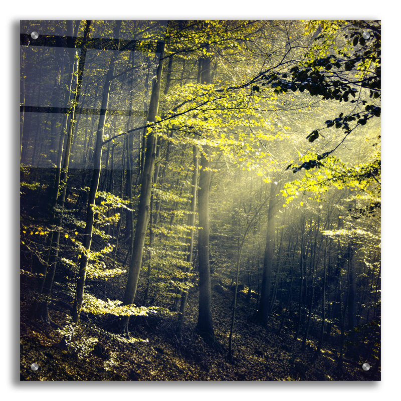 «Being There Revisité» par Dirk Wustengen, H 24 po x l 24 po x P 0,2 po