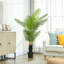 Faux Palm Tree in Pot-1299409599