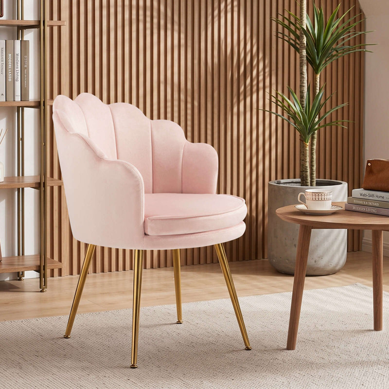 Ensemble de 2 fauteuils d'appoint en velours de 43 cm de large, chaise de coiffeuse moderne en forme de coquillage avec pieds dorés