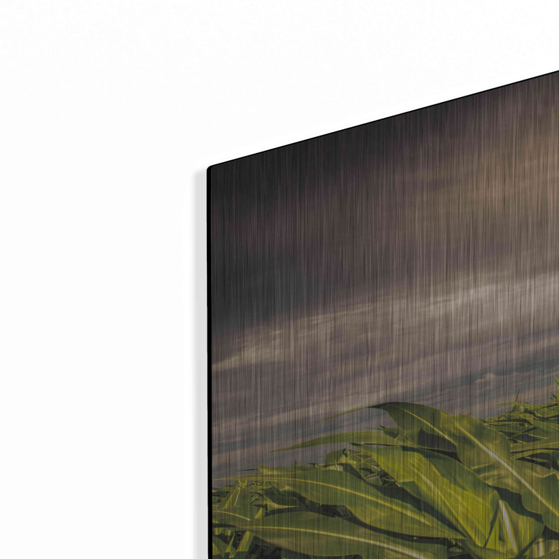 «Field Of Corn» par Donnie Quillen, H 36 po x l 24 po