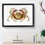 Atlantic Crab by Albert I - Framed Print-55456885-55456884