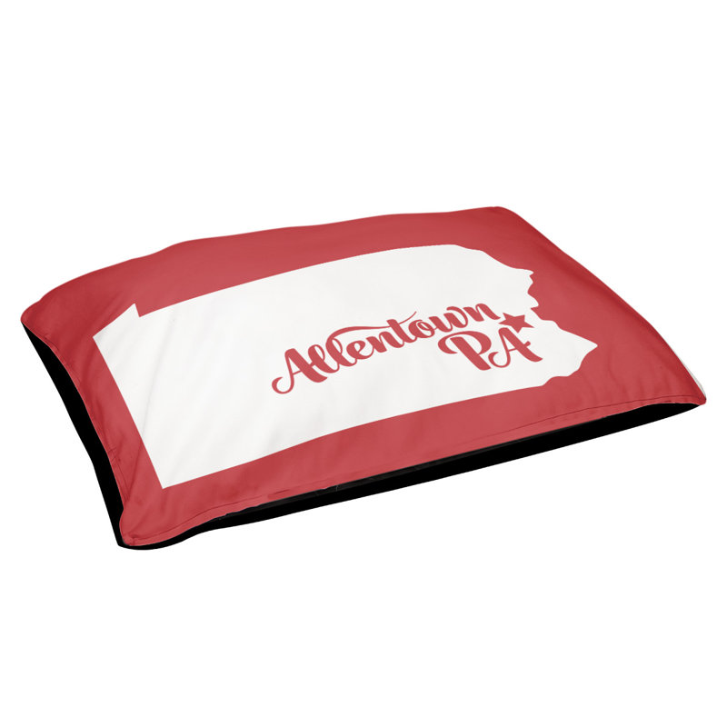 Coussin stylisé allentown de pennsylvanie, Petit (L 18 po x l 28 po), Rouge