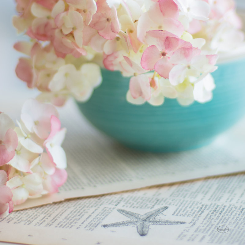 Hydrangea Still Life by Brookview Studio - Wrapped Canvas Print, 91cm H x 91cm W x 3.8cm D