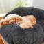 Almaguer Calming Round Donut Plush Dog Cuddler Bed-695170518-691327568