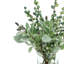 Arrangement floral mélangé dans un vase