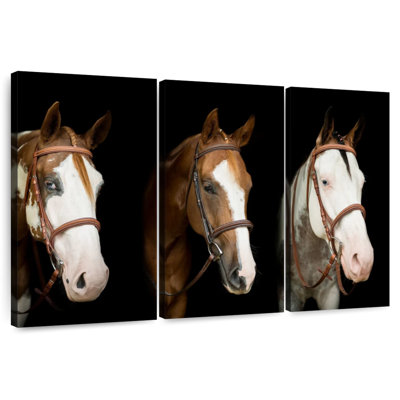 American Paint Horses