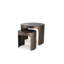 Piemonte Glass Nesting End Table