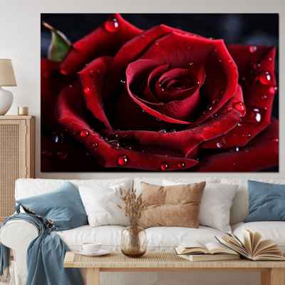 Red Rose with Raindrops I - Floral Wall Art