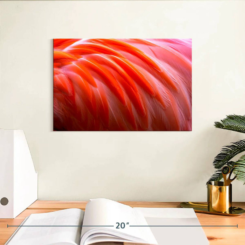 Plumes de flamant rose vif Brampt, H 8 po x l 12 po
