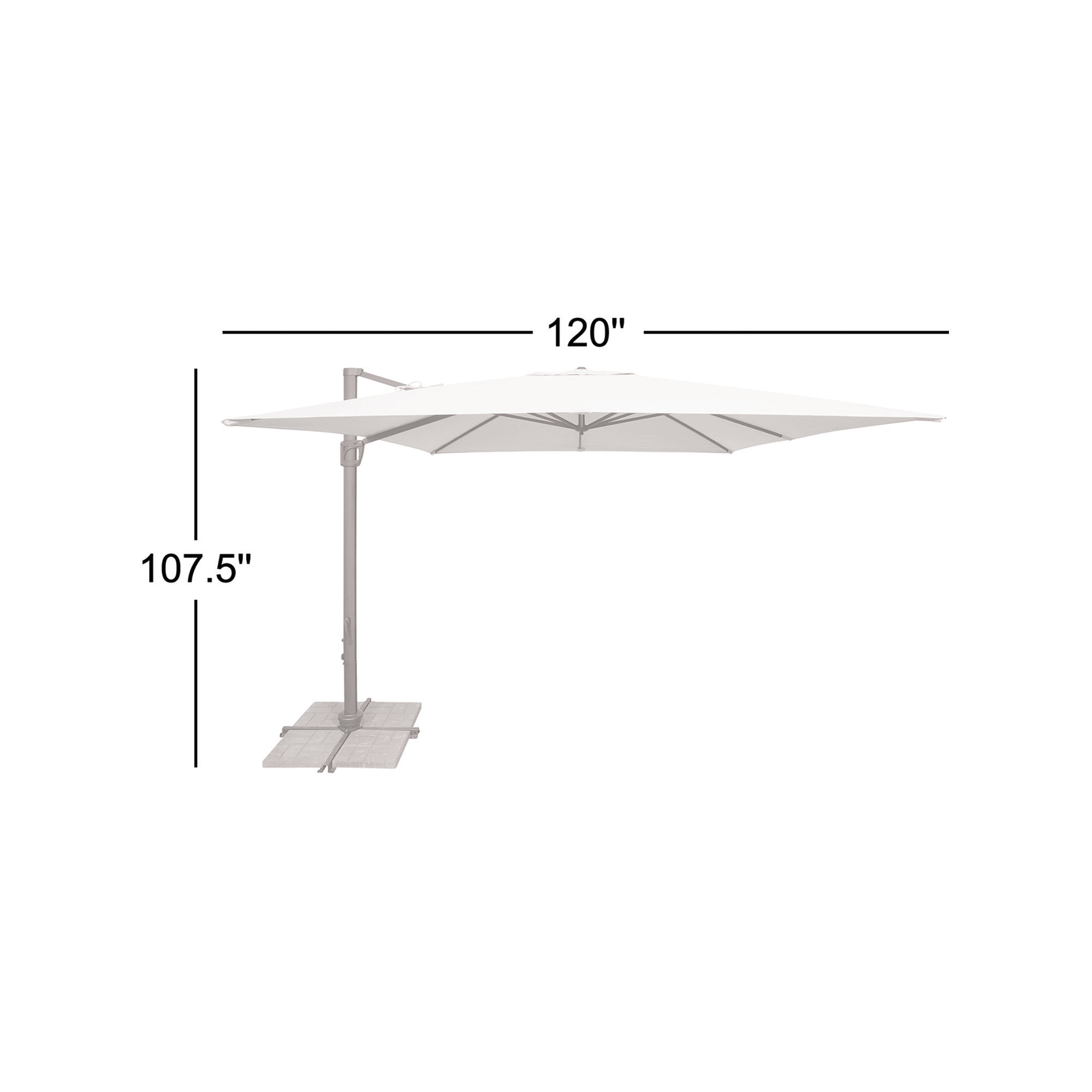 Darel 120'' Cantilever Outdoor Umbrella, Black, Cast Silver