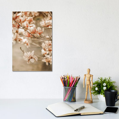 Magnolia Peach II by Monika Strigel - Wrapped Canvas Print