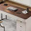 Bureau rectangulaire 5 tiroirs-1418364259
