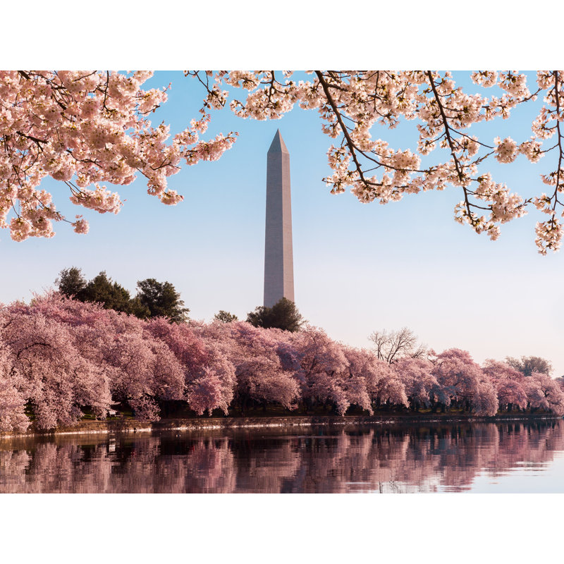 «at Cherry Blossom Time» par Steven Heap, Toile tendue, 24" H x 32" W