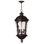 Windsor 4 -Bulb 28.5" H Outdoor Hanging Lantern