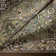 Albion Oriental Black/Green/Ivory Area Rug