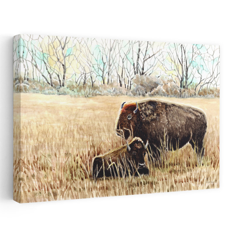 Cindy Jacobs - Wrapped Canvas Print, 60.96 cm H x 91.44 cm W