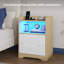 2 Drawer Bedside Table with Charging Station and LED Lights, LED Bedside Cabinets with 3-Sided Guard Rail for Bedroom, 35cm W Side Table-129513463