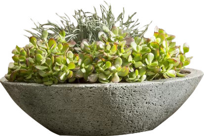 Estancia Planter, Pietra Vecchia