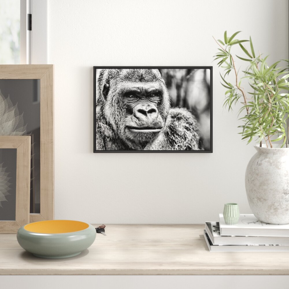 Gerahmtes Wandbild stolzer Gorilla