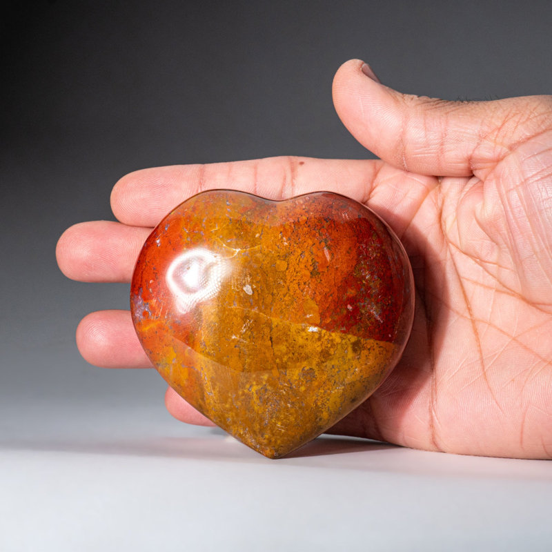 Petrified Wood Heart Cloche (0.55 Lbs)